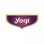 yogi (1)